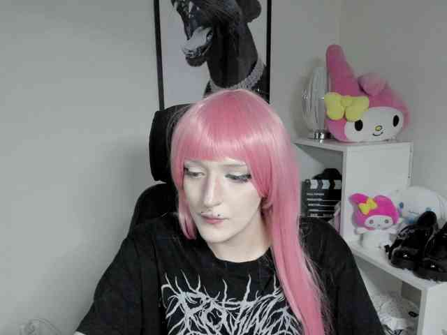 DreamNIKA webcam
