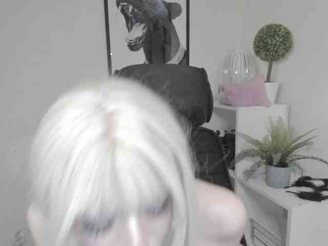 DreamNIKA webcam