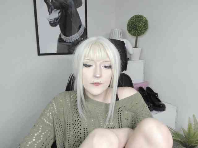 DreamNIKA webcam