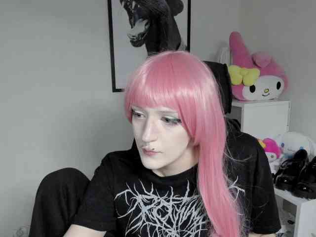 DreamNIKA webcam