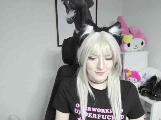 DreamNIKA webcam