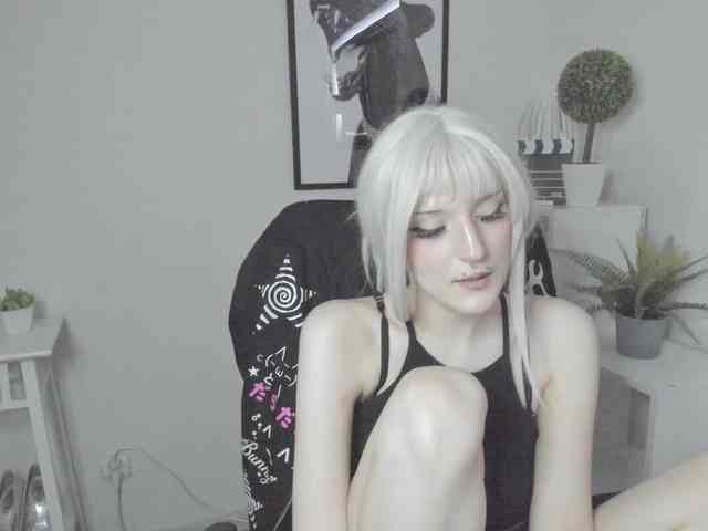 DreamNIKA webcam