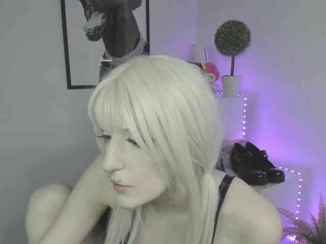 DreamNIKA webcam