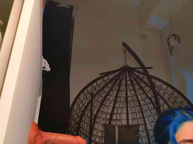 AriaVoss webcam