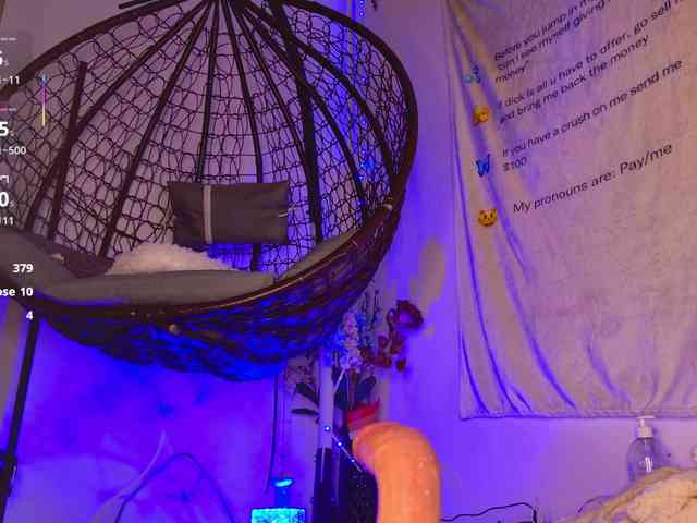 AriaVoss webcam
