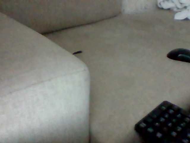 Stacycake live cam on BongaCams