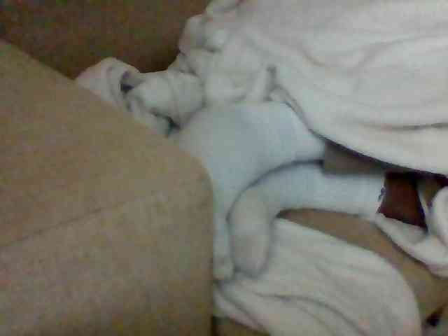 Stacycake webcam