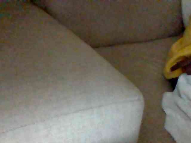 Stacycake webcam