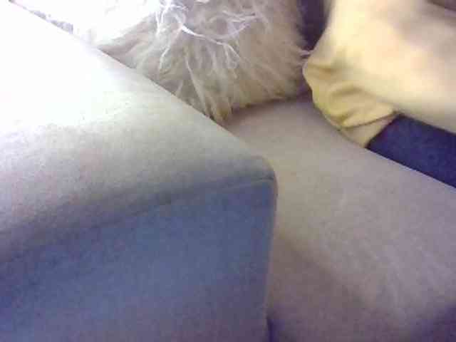 Stacycake webcam