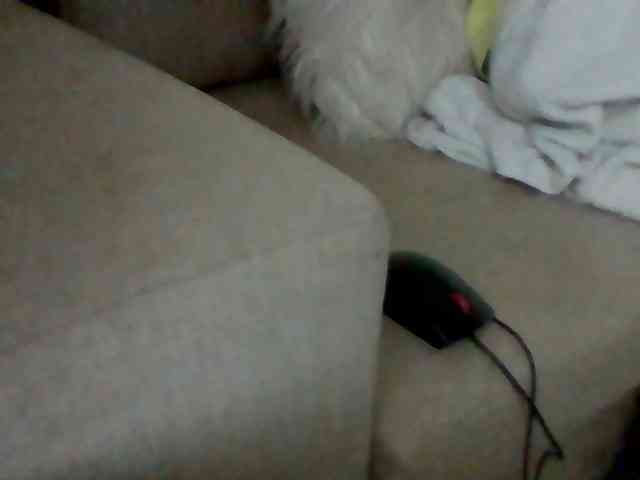Stacycake webcam