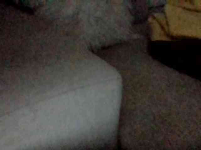 Stacycake webcam