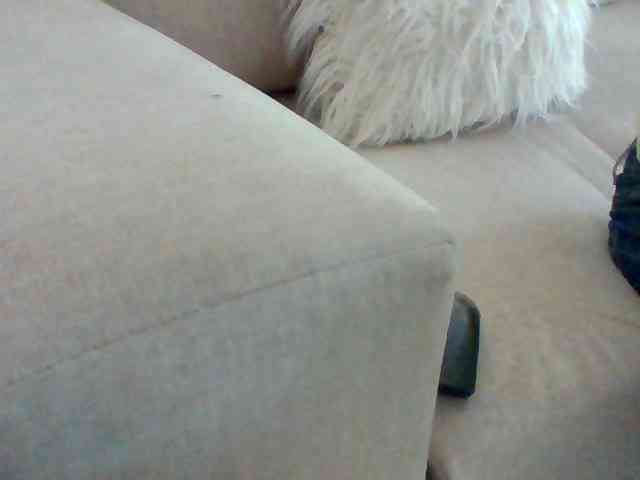 Stacycake webcam