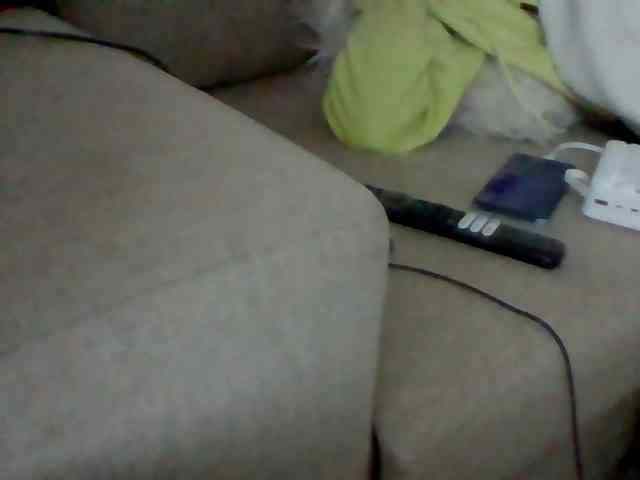 Stacycake webcam
