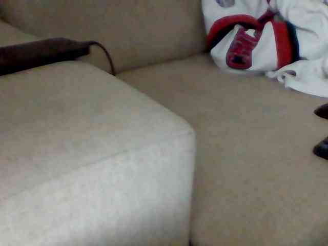 Stacycake webcam