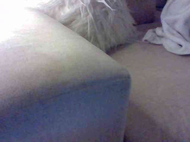 Stacycake webcam