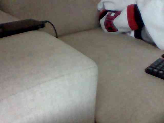 Stacycake webcam
