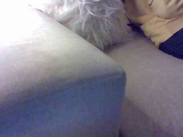 Stacycake webcam