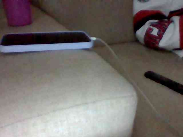 Stacycake webcam