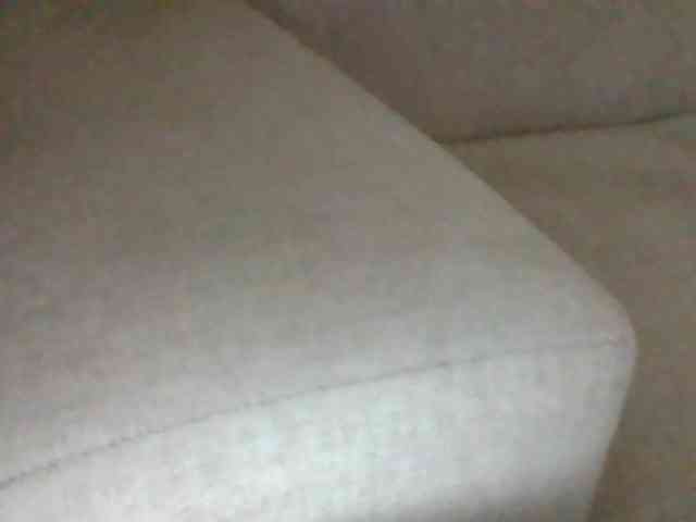 Stacycake webcam