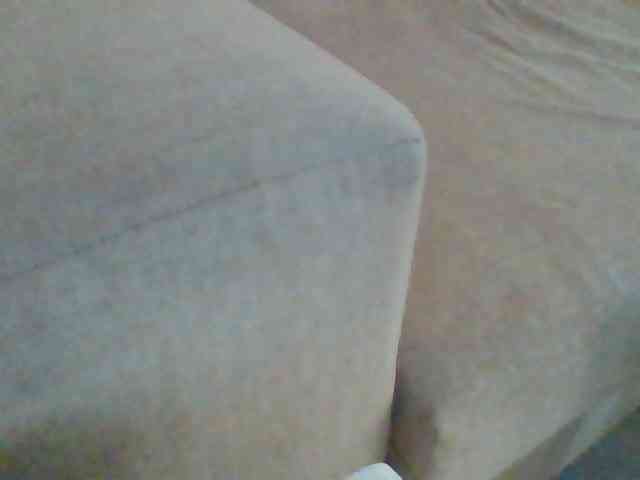 Stacycake webcam