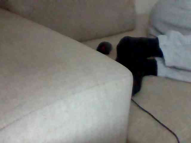 Stacycake webcam