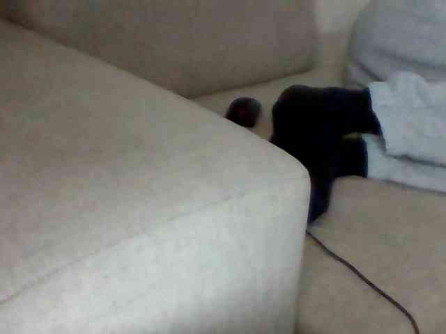 Stacycake webcam