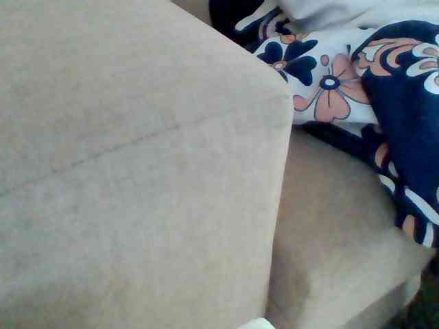 Stacycake webcam