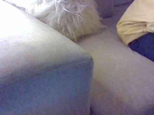Stacycake webcam