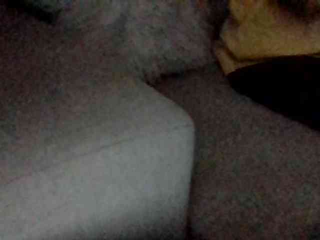 Stacycake webcam