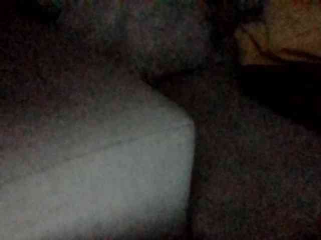 Stacycake webcam