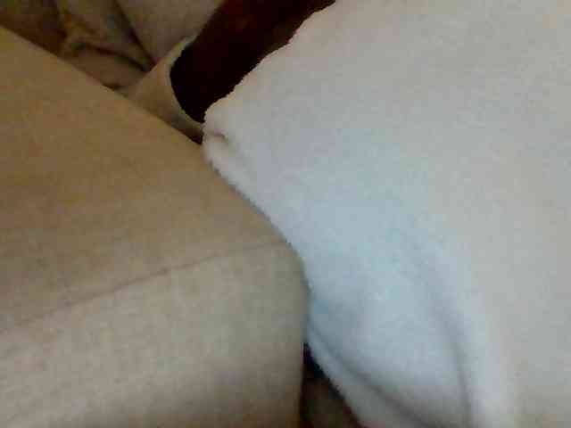 Stacycake webcam