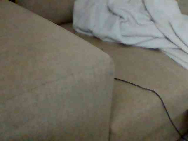 Stacycake webcam