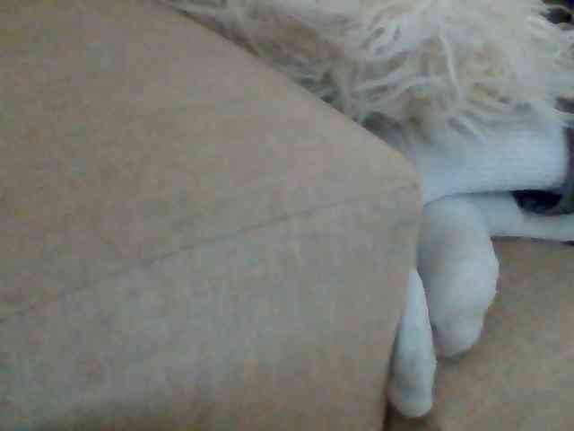Stacycake webcam
