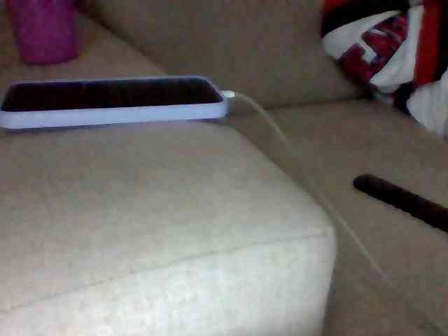 Stacycake webcam