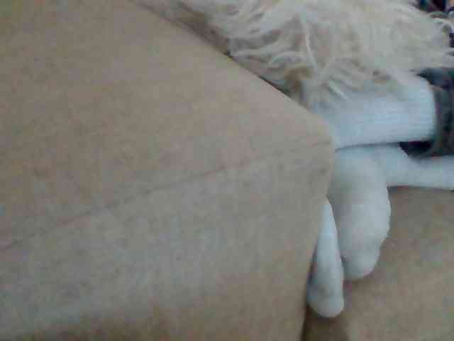 Stacycake webcam