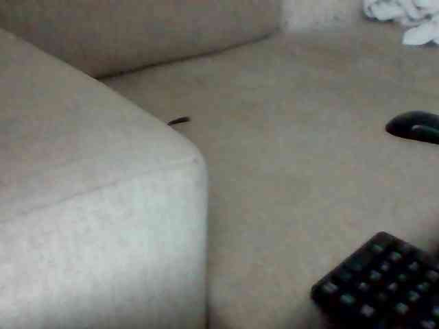 Stacycake webcam