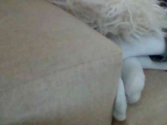 Stacycake webcam