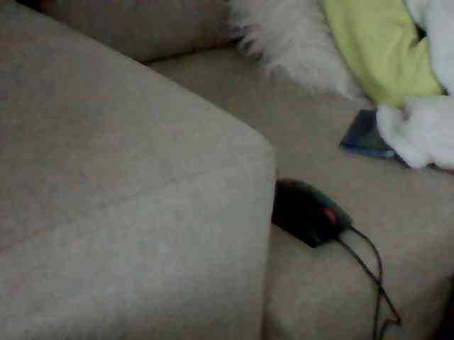 Stacycake webcam