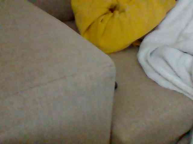 Stacycake webcam