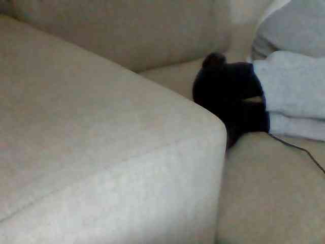 Stacycake webcam