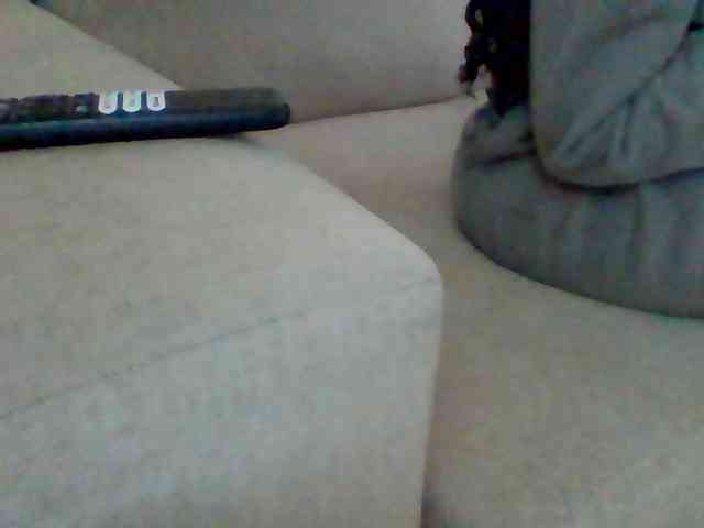 Stacycake webcam