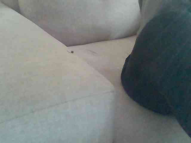 Stacycake webcam