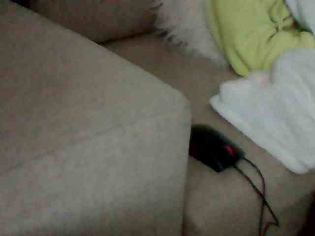 Stacycake webcam