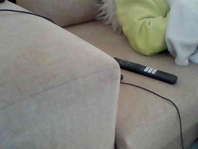 Stacycake webcam