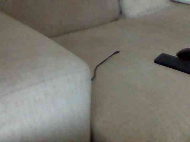 Stacycake webcam
