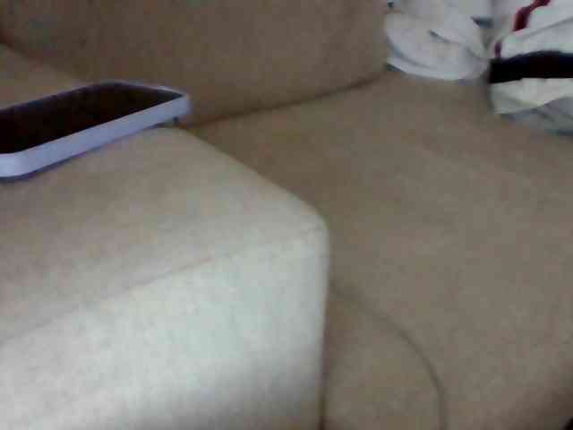 Stacycake webcam