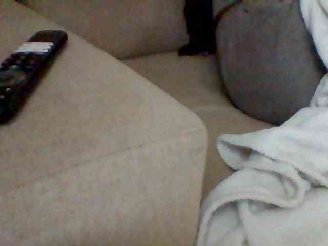 Stacycake webcam