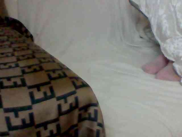 Stacycake webcam