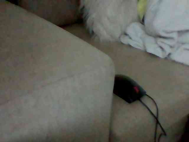 Stacycake webcam