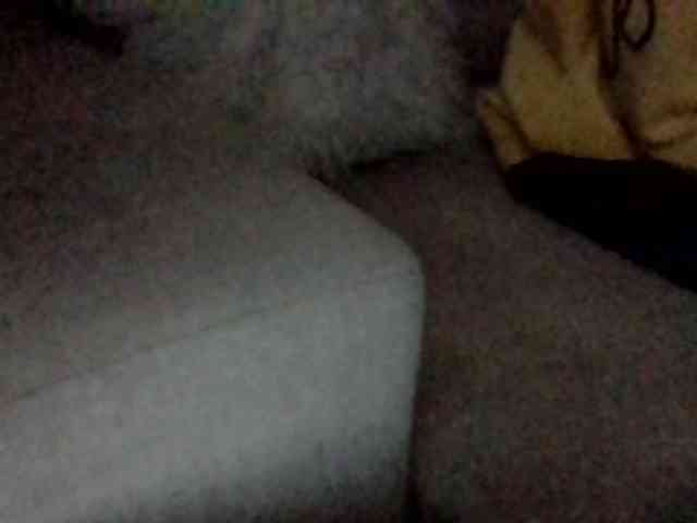 Stacycake webcam